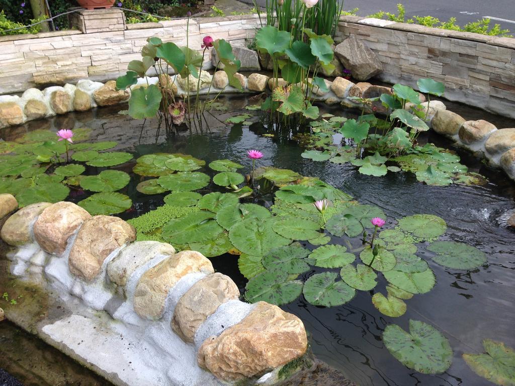 Songyuan B&B Lugu Bagian luar foto