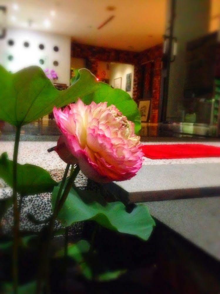 Songyuan B&B Lugu Bagian luar foto